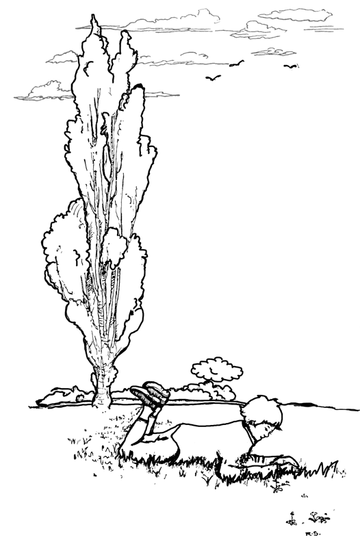 Boy Playing in the Field with Bugs Coloring Page Printout « Boys