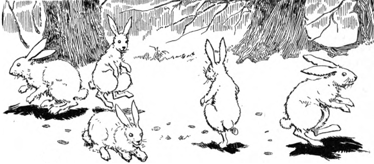 Bunny Rabbits Hopping in the Forest Coloring Page « Animals Coloring