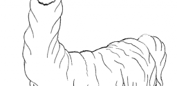 Mountains And Hills Coloring Categories Coloring Pages