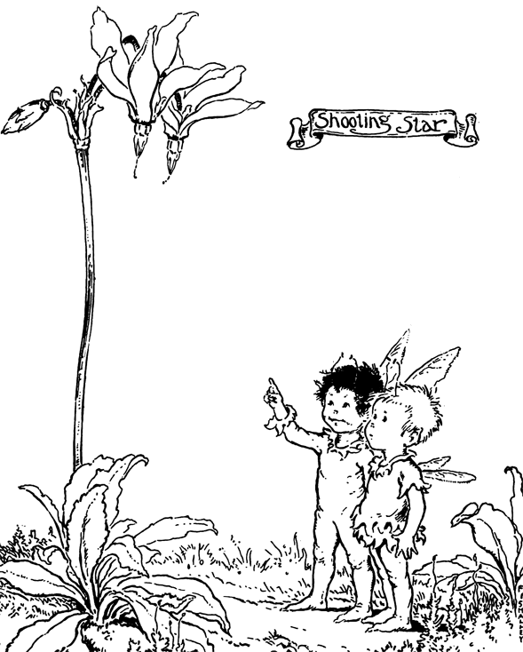 Fairy Boys Looking up at Falling Flowers Like Shooting Stars Coloring