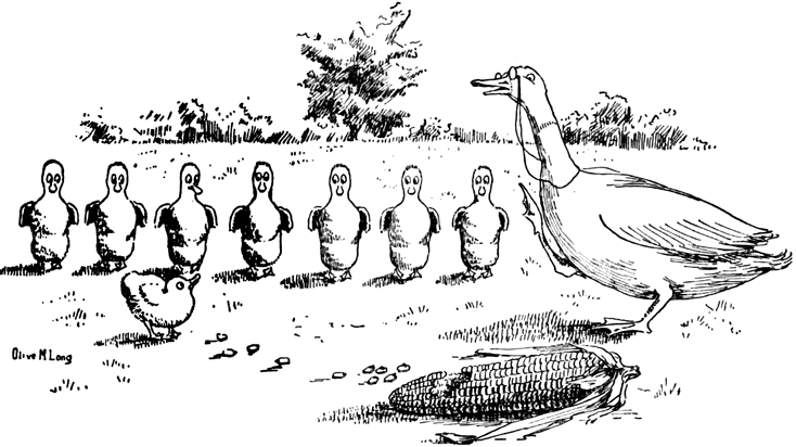 Mamma Duck Scolding Baby Ducklings for Eating Corn Coloring Page