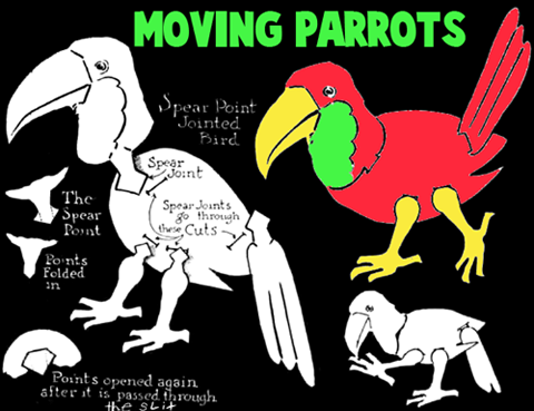 Making Moving Parrots and Macaws