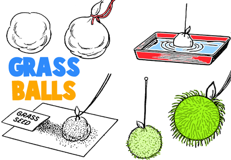 How to Make Hanging Grass Balls 