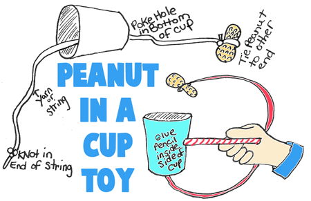 Peanut in a Cup Toy