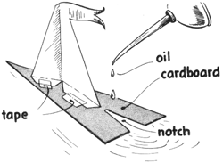 Cardboard Oil Powered Sailboat Craft