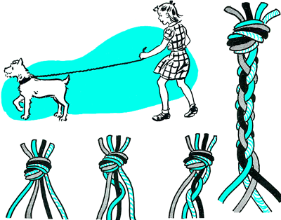 How to Make a Strong Braided Dog Leash