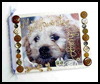 Beaded
  Dog Album Arts and Crafts Project