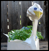Craft
  a Swan Plant Container Craft to Make