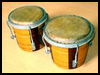  Kids
  Project: Making Bongo Drums