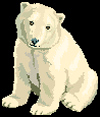 Polar
  Bear Story