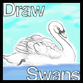 How to Draw Swans