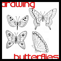 Drawing Butterflies the easy ways
