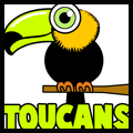 How to Draw Cartoon Toucans