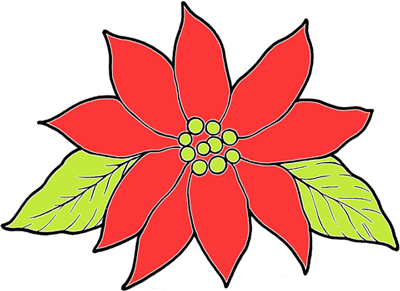 Poinsettia Pictures