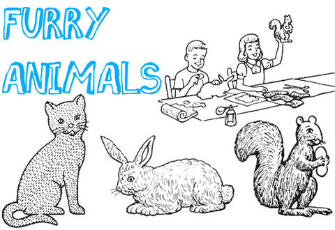 Furry Animals