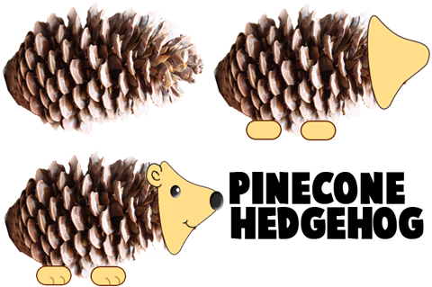 How to Make Porcupine Hedgehogs