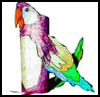 Parrot

  Toilet Paper Roll Craft