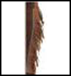 Indian
  Leg Fringes <span class="western" style=" line-height: 100%"> <span class="western" style=" line-height: 100%"> : American Indians Crafts Activities for Children</span></span>
