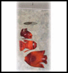 Recycled Soda Bottle Fish Mobile Craft for Children