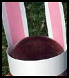 Bunny Ears for Kids