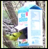 Bird
  Feeder with Milk or Juice Box