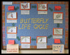 School
  Bulletin Board Ideas with a Butterfly Theme   : School Bulletin Board Decorating Ideas for Teachers