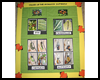 Preschool
  and Elementary Butterfly Theme   : School Bulletin Board Decorating Ideas for Teachers