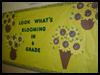 Look
  What's Blooming in 6th Grade   : School Bulletin Board Decorating Ideas for Teachers