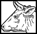How to Draw Cow Faces