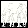 How to Draw Mare and Foal