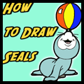 How to Draw Cartoon Seals