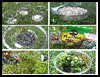 Make a Terrarium by Amy the interns : Making Terrariums Instsructions for Children