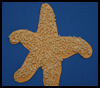 Kids Starfish Craft for Kids