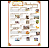 Thanksgiving-Quizzes  : Free Thanksgiving Printable Worksheets