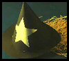 Make
  a witch hat for this Halloween