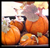 Styrofoam
  Pumpkins  : How to Decorate Thanksgiving Tables