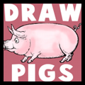 Drawing Pigs