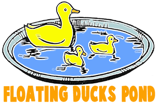 Make Toy Ducks POnds