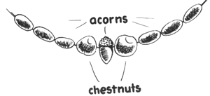 Make an Acorns Necklace