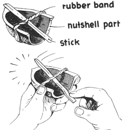 Making a Rattle Shell Musical Instrument