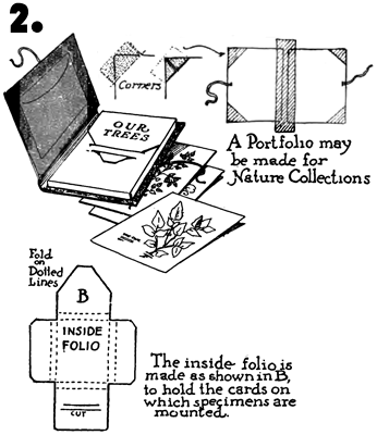 How to create a Scrapbook: The step - by - step Guide