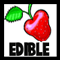 Edible Food Crafts