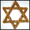 Star
  of David Craft