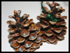 Glittery
  Pinecone Decorations