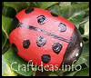 Rock
  Lady Bug