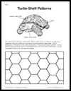 Turtle-Shell
  Patterns