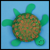 Sea
  Turtles