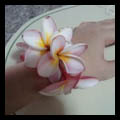 Fresh Flower Bracelets