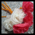 Tissue Paper Carnations