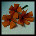 Crepe Paper Flowers